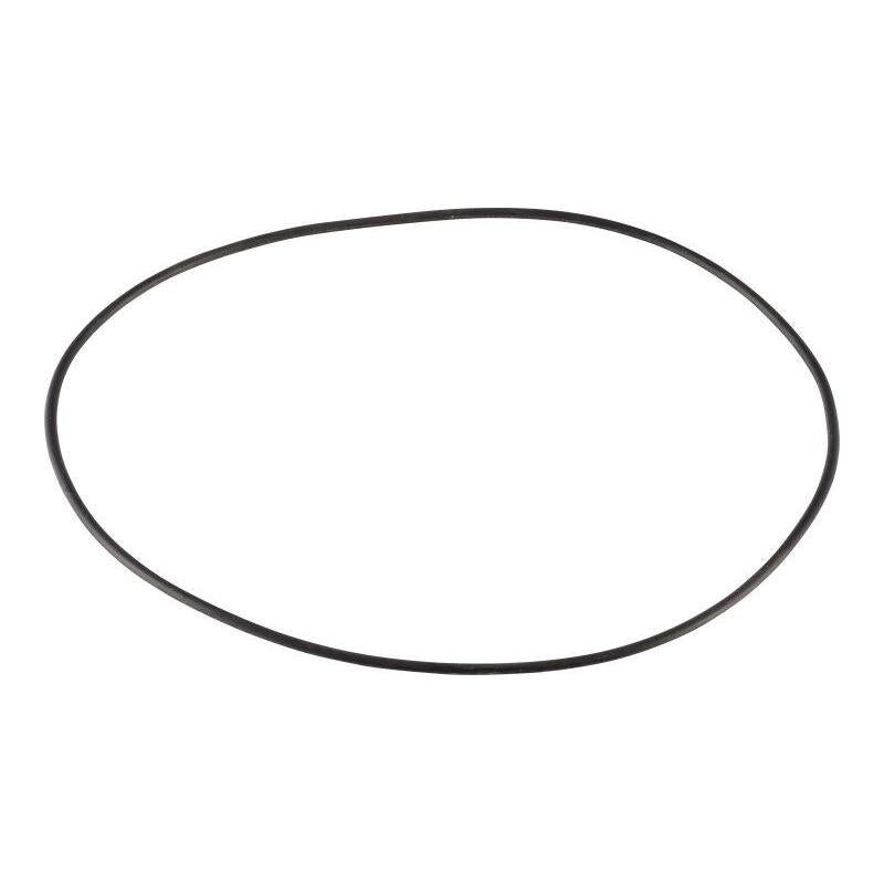 JLG Part # 7024705 - O-RING