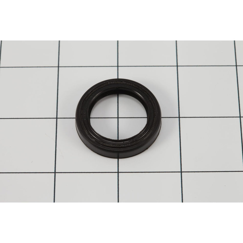 JLG Part # 7029119 - SEAL