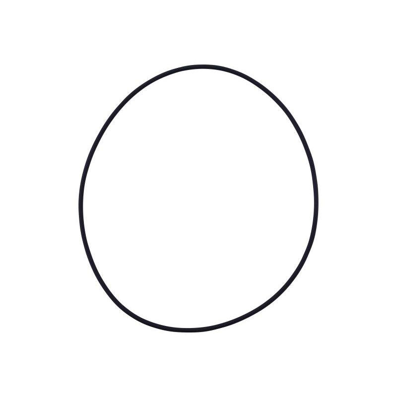 JLG Part # 7029304 - O-RING