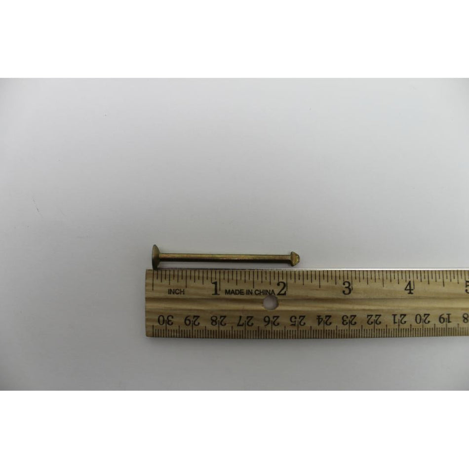 Genie Part # 75813. 75813GT - PIN. SHOE HOLD DOWN SRRING GT1