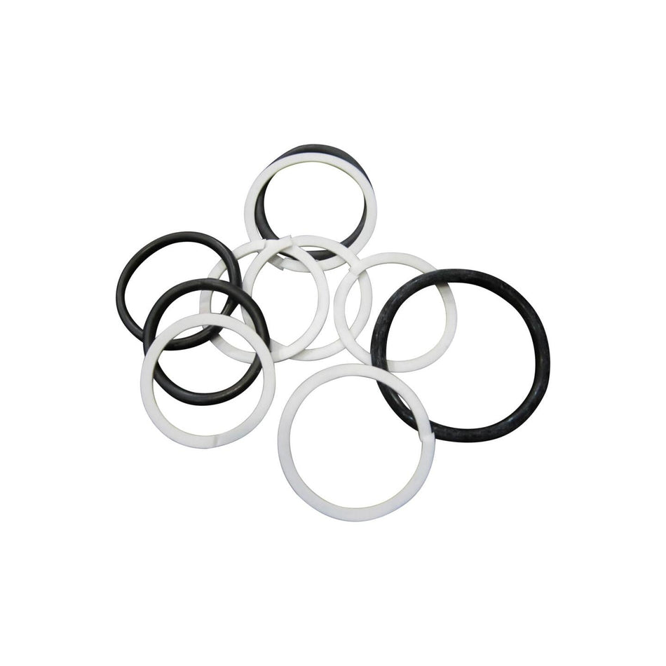 JLG Part # 8036493 - SEAL KIT
