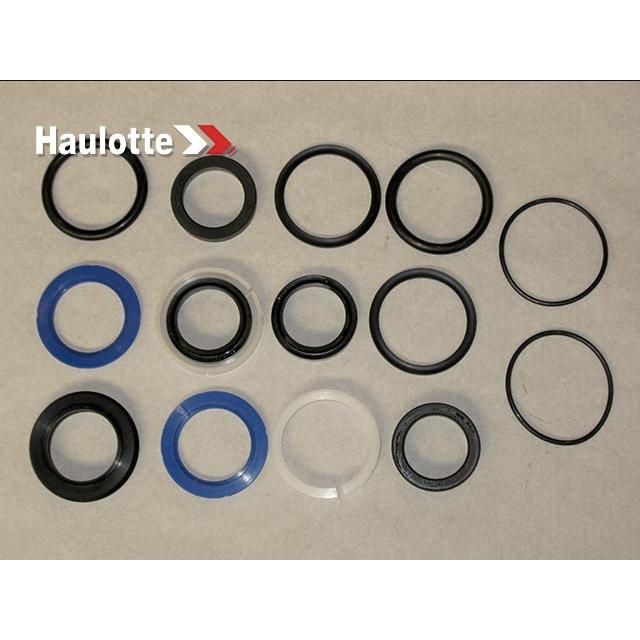 Haulotte Part # ABM06859 - SEAL KIT