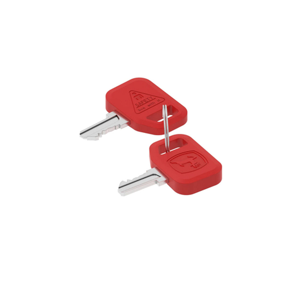 Keys (Set of 2) - AT195302