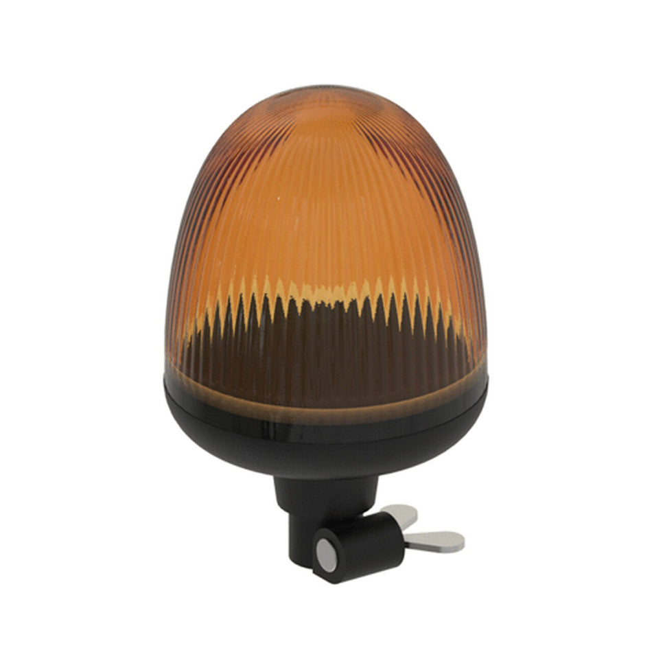 Beacon Light - AZ101891