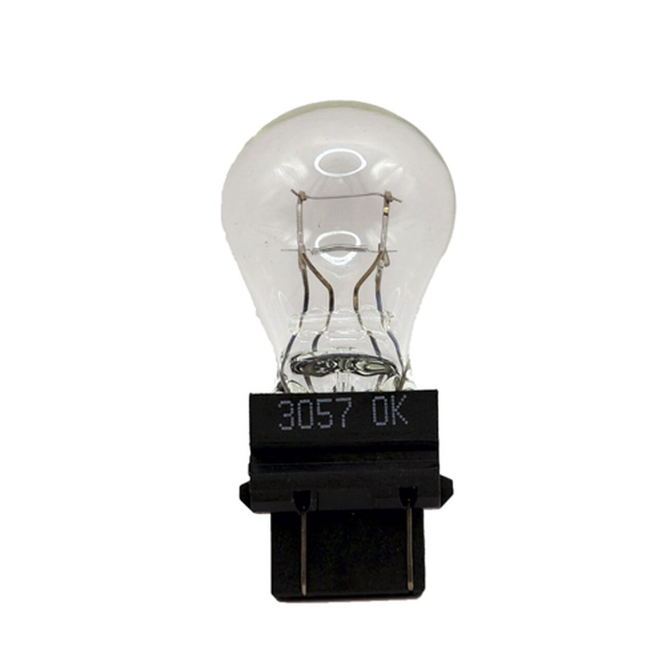Light Bulb - H133384