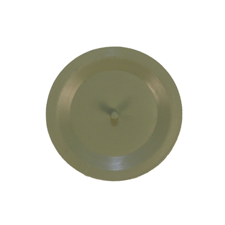 Diaphragm. 1 inch Pipe - N304457