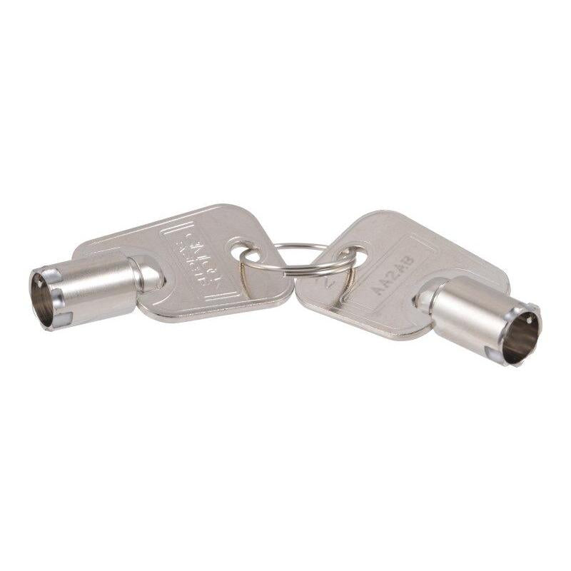 JLG Part # PTN-M-341 - KEY. SET (PAIR)