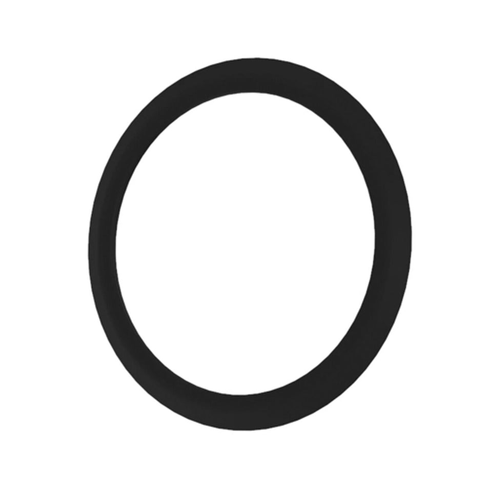 Dust Seal O-Ring - R113565