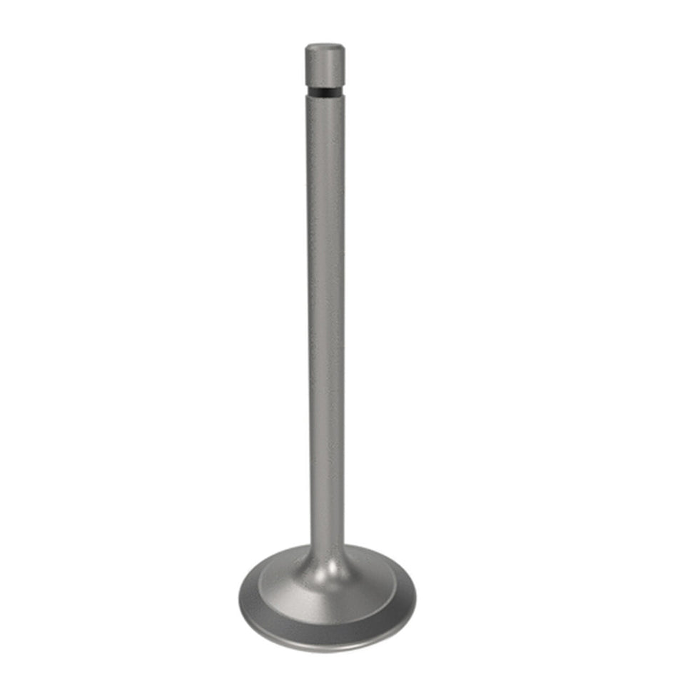 Engine Intake Valve - R504060