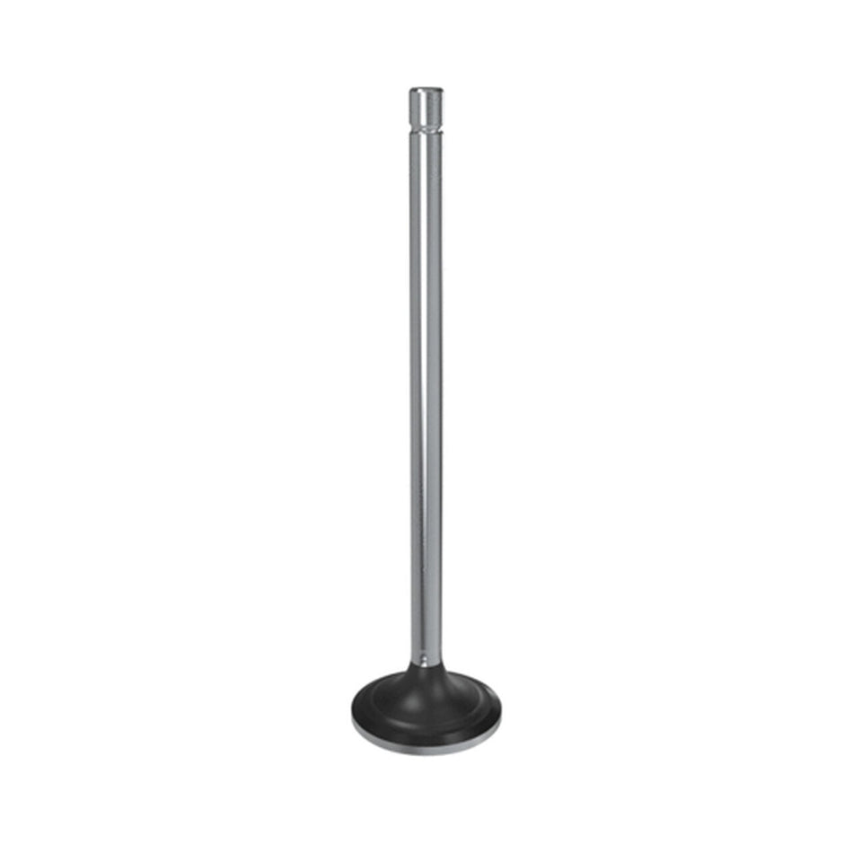 Exhaust Valve - R504061