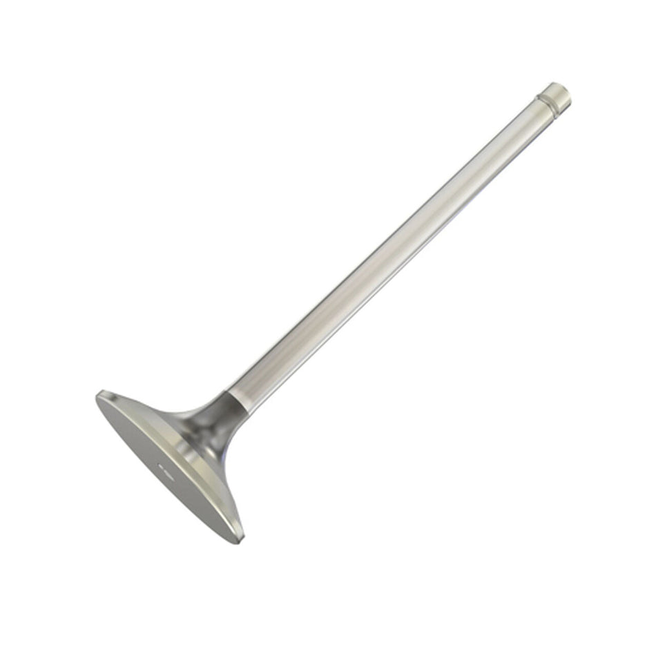 Exhaust Valve - R90692