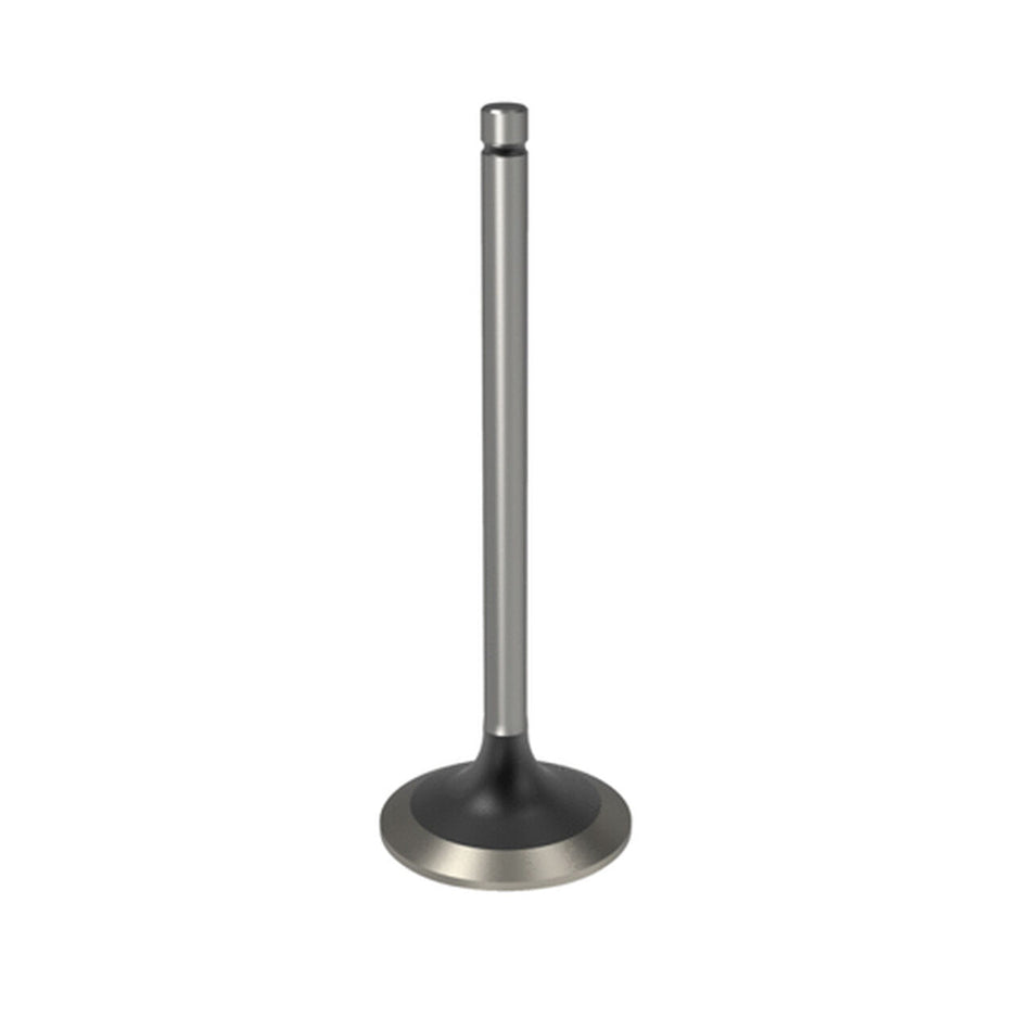 Intake Valve - R98062