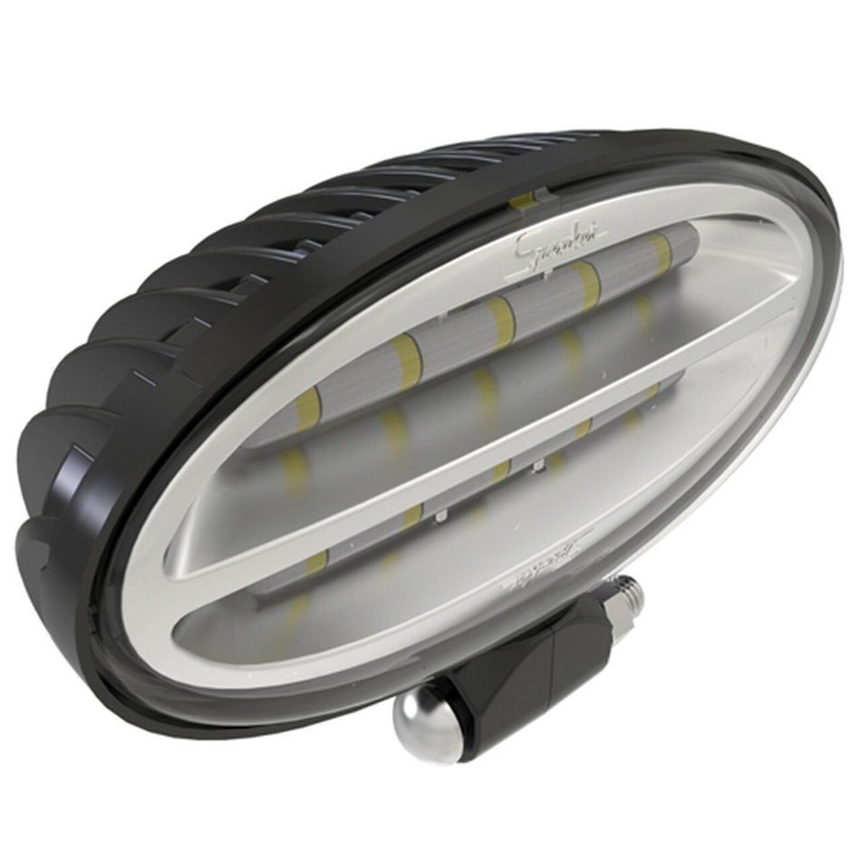 Floodlamp - RE573609